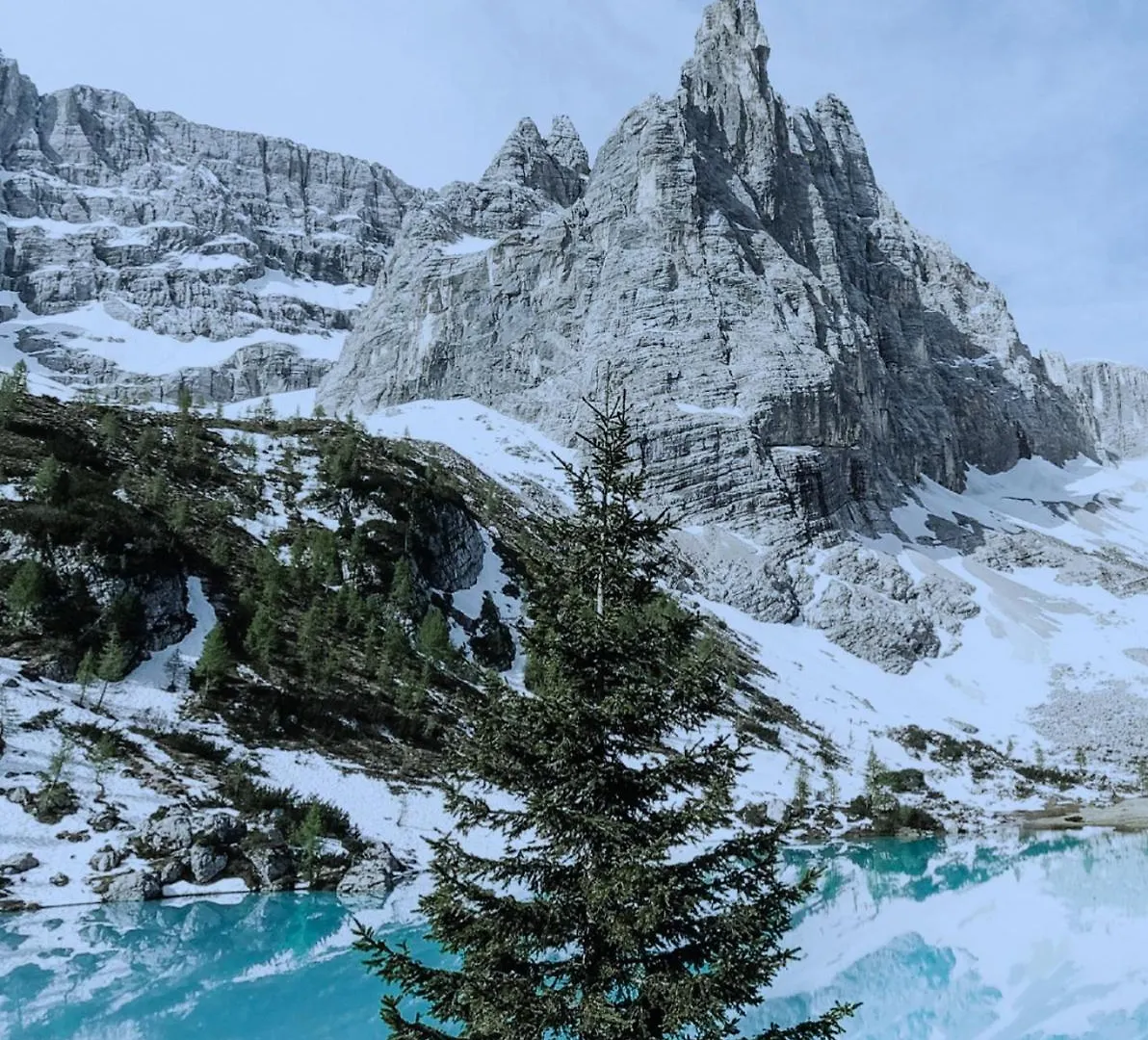 Cortina Center House Apartment Cortina d'Ampezzo 0*,