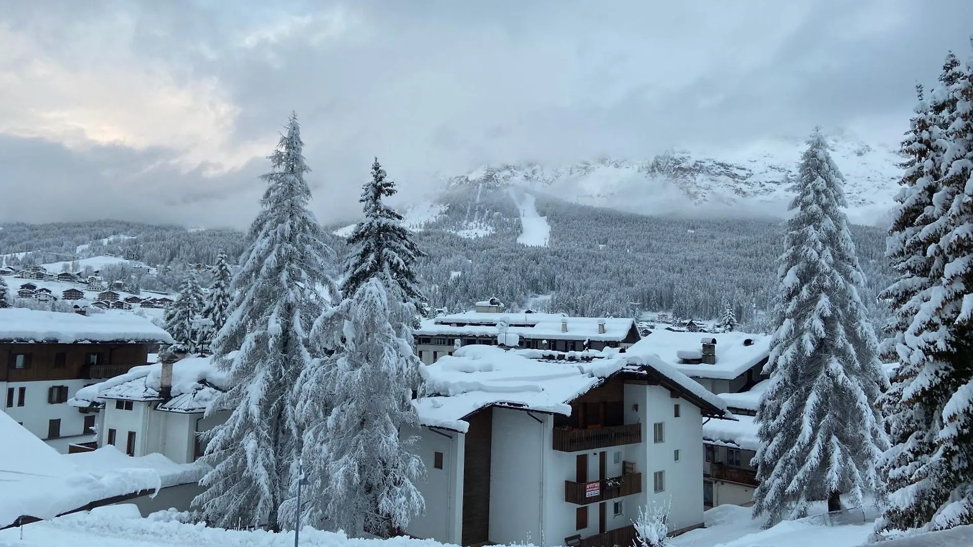 Cortina Center House Apartment Cortina d'Ampezzo